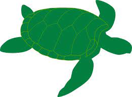 Turtle Vector Png Turtle Png Image And Clipart Turtle Silhouette Sea Turtle Turtle