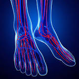 Image result for treatment of pad of foot which is red, purple