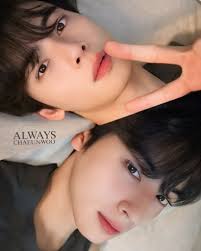 ❤️✨Felix✨❤️ (Cha Eun Woo English Name)