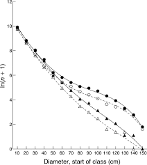 Image result for Strephonema sericeum