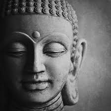 Yoga By Design At Zen Studios- Jody Cohen