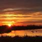 Sunset Birding Walk