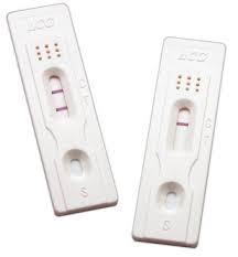 Home pregnancy test kits are a convenient for finding out whether you are pregnant or not. Pregnancy Test Pregnancy Test Card Wholesaler From Mumbai