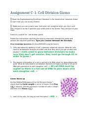 Some of the worksheets for this concept are answer key to gizmo cell energy cycle, cell division answers biology, cell division mitosis answer keys, cell structure answer key, student exploration. Bioscn3230 C 1 1 Docx Assignment C 1 Cell Division Gizmo Read The Explorelearning Enrollment Handout In The Introduction Materials Folder To Learn How Course Hero