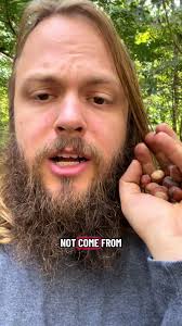 Did you know that hazelnuts grow wild across the east coast and mid west ?  They’re delicious ! We have plants available at www.livingsoiltreefarm.com