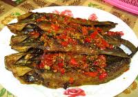 Selain dipancing, ikan keli juga menjadi antara spesies utama yang diternak. Apa Beza Ikan Keli Dan Ikan Sembilang Apa Bezanya