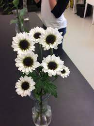I thought this flower was pretty cool since it had 3 flowers plus 2 buds on the very top of the stem, i hope you like it. Pin On Cut Flower I D