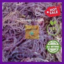 Hanya rumput laut kering.‎ itu nilainya rendah sekali dibandingkan bila sudah diolah,‎ papar indroyono di kantor pusat badan koordinasi penanaman modal (bkpm), jakarta. Rumpai Laut Kering 1 Kg Seaweed Sabah Shopee Malaysia