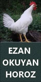 Cemaatle Namaz Kilmanin Onemi Iliski Sozleri Horoz Cemaat
