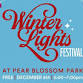 Winter Lights Festival event image