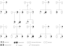 Heredity Of Supraglottic Exercise Induced Laryngeal