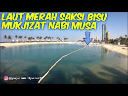 Gambar laut merah di mekah. Laut Merah Saksi Bisu Terjadinya Mukjizat Nabi Musa By Alman Mulyana