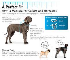 This is the single most important dimension you need for choosing the correct dog harness size. Sizing Guide Coastal Pet Products
