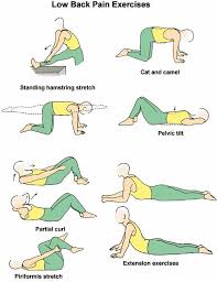 Pin On Exercise