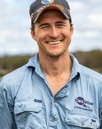 Central Queensland's Ewedale Graing Partnership breeders' success in  flushing older cows