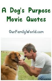 heartwarming quotes from a dog s purpose movie book a dogs purpose a dogs purpose quotes a dogs purpose movie