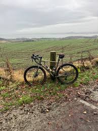 Sandy McGowan (@theMC_Gowan)