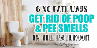 It may seem to be an extremely nasty job, but no nasty odor was meant to be removed in a clean and dainty way. 6 No Fail Ways To Get Rid Of Pee Smells In Bathroom Artsy Fartsy Life