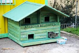 Atasehir Deki Kediler Yeni Yuvalarina Kavusuyor Atasehir Belediyesi