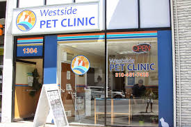 Ehrenberg bought the west valley pet clinic and have been able to maintain the local small town vet in the big city setting. Westside Pet Clinic 1304 Wilshire Boulevard Santa Monica Reviews And Appointments Topvet