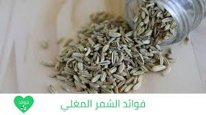 فوائد الشمر المغلي فوائد متعددة وهامة للتخسيس والقولون وأكثر How To Dry Basil Herbs Dried