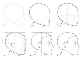 Human Anatomy Fundamentals Basics Of The Face Human head human silhouette head silhouette human head silhouette head people silhouette symbol icon element person people decoration background concept style emblem decorative template man male black outline ornament creative sketch elements idea inspiration mind brain conceptual. human anatomy fundamentals basics of