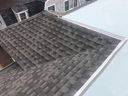 Find your perfect hotel using tripadvisor's real traveler reviews. Cowleys Pest Services Bird Control Services Photo Album Giving Seagulls A Shocking Treatment In Long Beach Island Nj