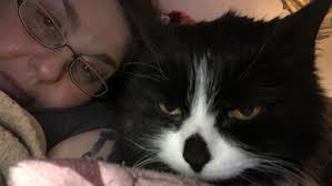 AITC? Daddy tfimk mew/old chair his. He WROMG. : r/AmItheCloaca