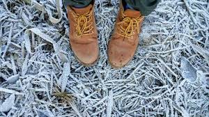 Reprodução/ twitter rbs tv estados do sul tiveram geada e neve durante a madrugada. Neve No Brasil Quais Sao As Cidades Onde Pode Ter Esse Fenomeno