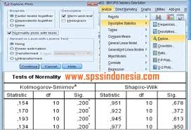 Uji x2 chi square test the adioke center. Cara Uji Normalitas Untuk One Way Anova Dengan Spss Lengkap Spss Indonesia