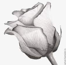 22 Ideas Drawing Pencil Flowers Art Pencil Drawings Of Flowers Art Drawings Sketches Pencil Art Drawings