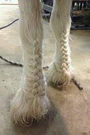 Then the new anagen hair shaft starts to germinate within the same follicle, and it pushes out the telogen hair resulting in normal hair shedding or moulting. Lycon Uk On Twitter Leg Hairs Long Enough To Plait Book In For Your Next Lycon Treatment For Silky Smooth Pins Lyconuk Lyconspa