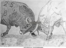 Bull Animals Moose Art
