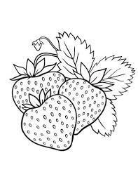 We did not find results for: Printable Strawberry Coloring Page Free Pdf Download At Http Coloringcafe Com Coloring Pages Strawbe Fruit Coloring Pages Coloring Pages Embroidery Patterns