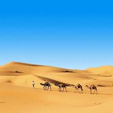 2,102 new cases and 103 new deaths in tunisia  source updates. Vakantie Tunesie Goedkope Deals 2021 Prijsvrij Nl