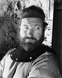 James Robertson Justice