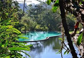 Resort mengadap pantai yang menyediakan pelbagai kemudahan untuk keluarga besar bercuti. Enderong Resort Nice Natural View Swimming Pool Fresh Air Janda Baik Mempunyai Spektrum Spesis Melihat Pemandangan Hutan Hujan Tertua Permainan Tradisional Seperti Congkak Tanarimba Janda Baik Little Farm The Hill Villa