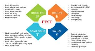 PEST: Mô Hình PEST, Phân Tích Môi Trường Kinh Doanh