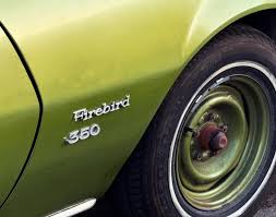 Image result for Aquarius Green 1971 Pontiac