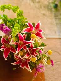 We did not find results for: Anna V Flower Shop Gift Cards Giftly
