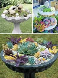 Ideas For Sedum Gardens In Bird Baths Bird Bath Garden Sedum Garden Bird Bath Planter