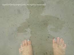 We got up early one morning to beat the heat and headed into the middle of the great salt lake. Can You Swim In The Great Salt Lake Tips For Family Trips