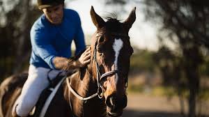 Founder, the long riders' guild; What Causes A Horse To Founder And Can They Recover From It