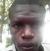 80+ "Jim Noah" profiles