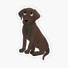 My sister is selling a chocolate lab. Chocolate Labrador Retriever Cartoon Gifts Merchandise Redbubble