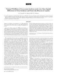 Image result for Lepistemon owariensis