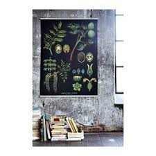 ikea us furniture and home furnishings botanical poster poster prints botanical prints