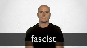 Fascist Definition And Meaning Collins English Dictionary