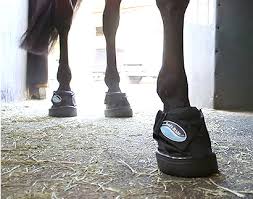 Horse Hoof Boots And Gel Insert Orthotics For Horses Soft Ride