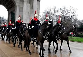 Bucephalus is one of the first famous horses in history. 100 Famous Horse Names Ideas For Famed Celebrated Horses Pet Keen